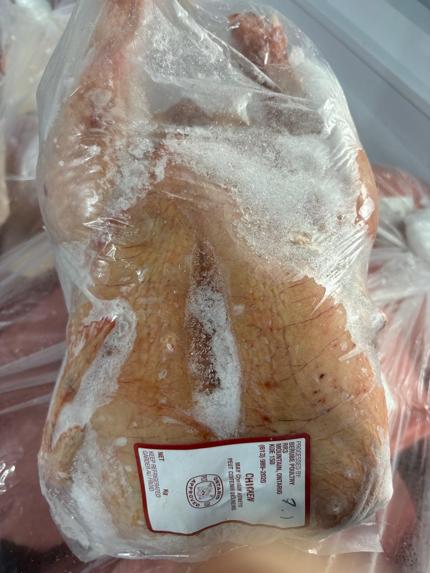 Dog Food Chickens